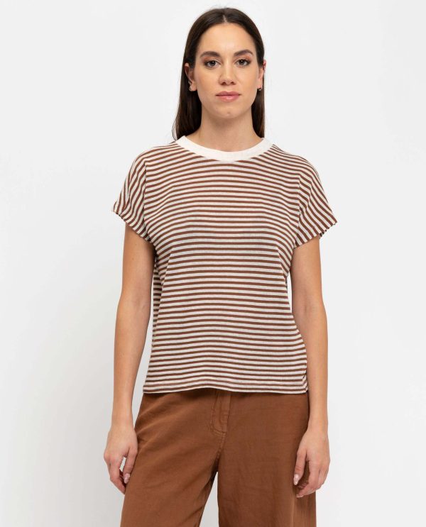 Tshirt j-lino riga DD25276 RIGATO FAWN