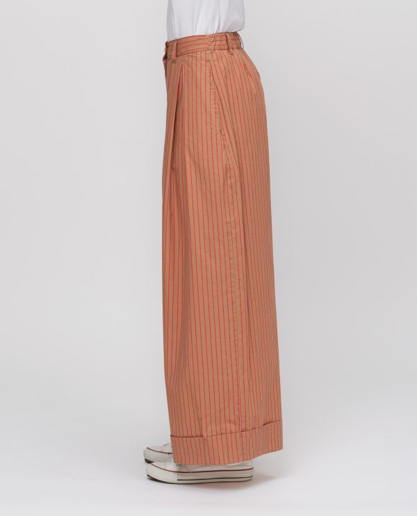 Pantalone risvolto pop gessato DD26736 RIGATO Var_TERRA - immagine 3