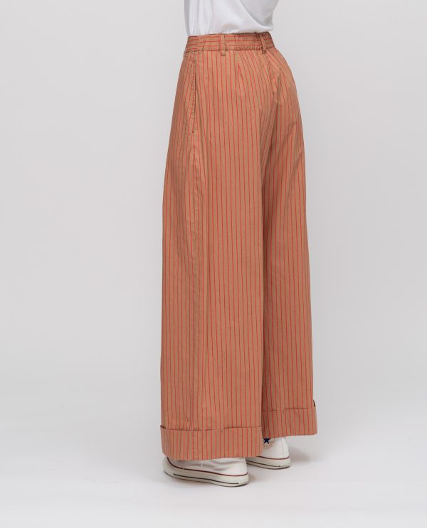 Pantalone risvolto pop gessato DD26736 RIGATO Var_TERRA - Image 4